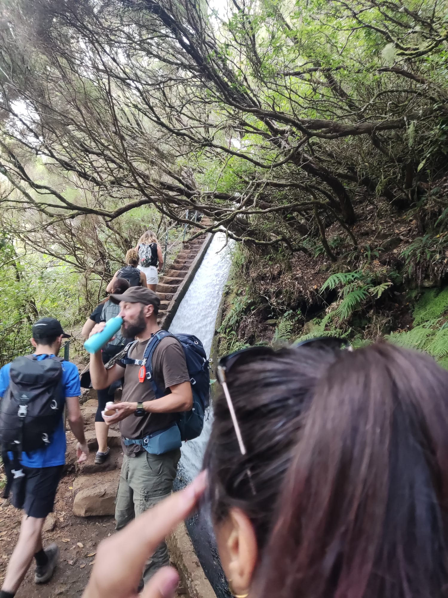 Levada Walk