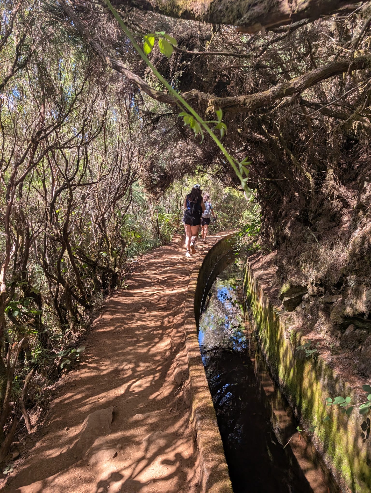 Levada walk