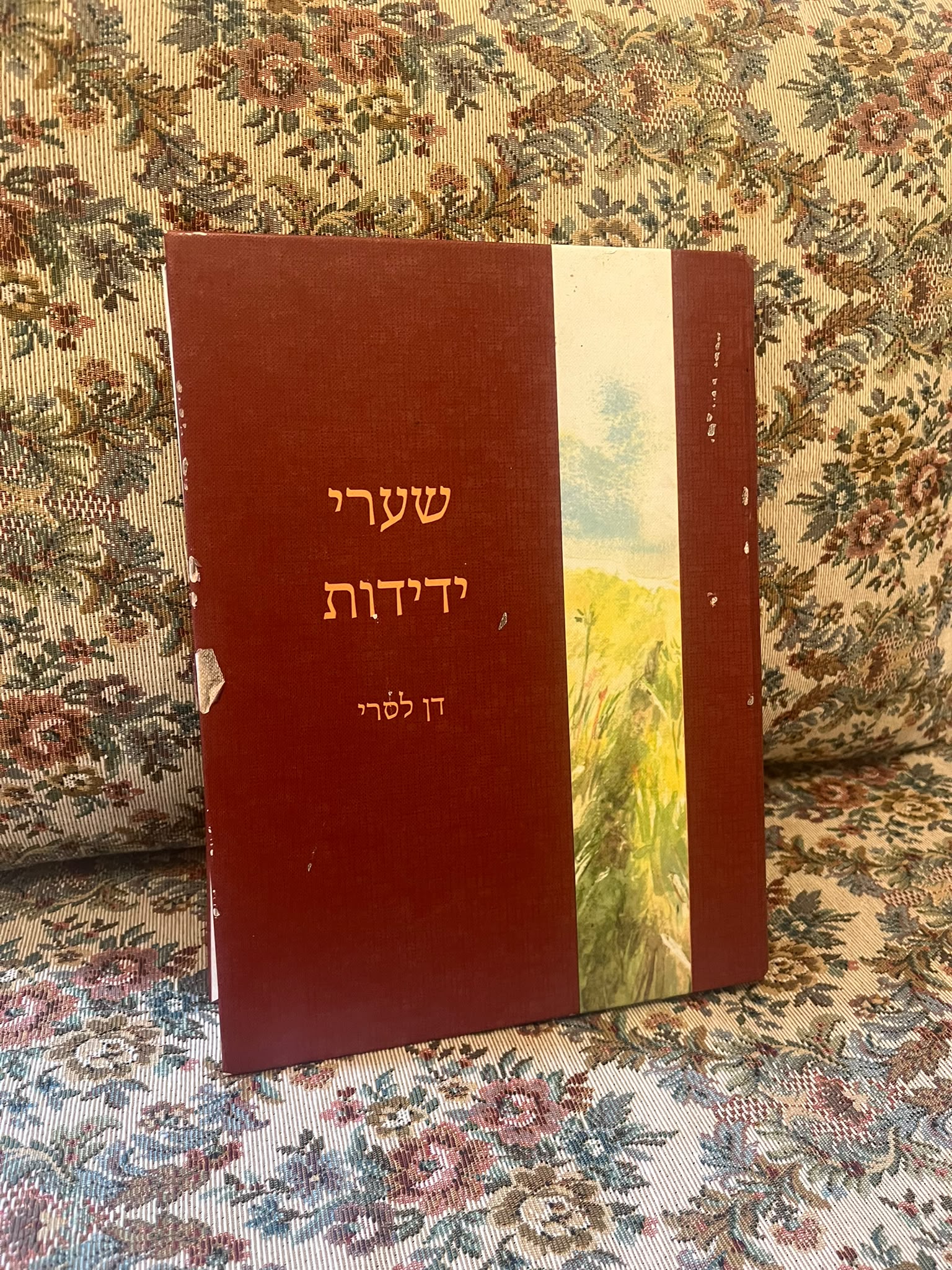 קבוצת קריאה: "שערי ידידות" של דן לסרי