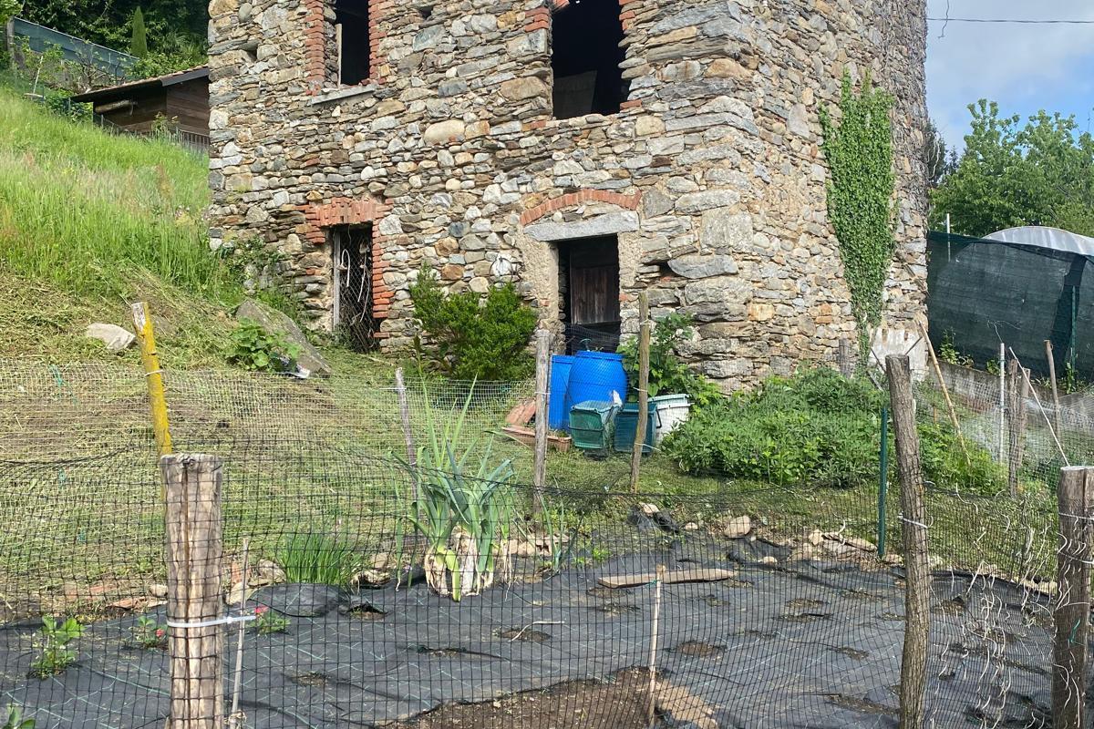 Rustico - Via Bernardino luini 3, Brissago-Valtravaglia (ID:DV-12929)