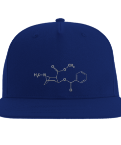 Cappello Snapback 