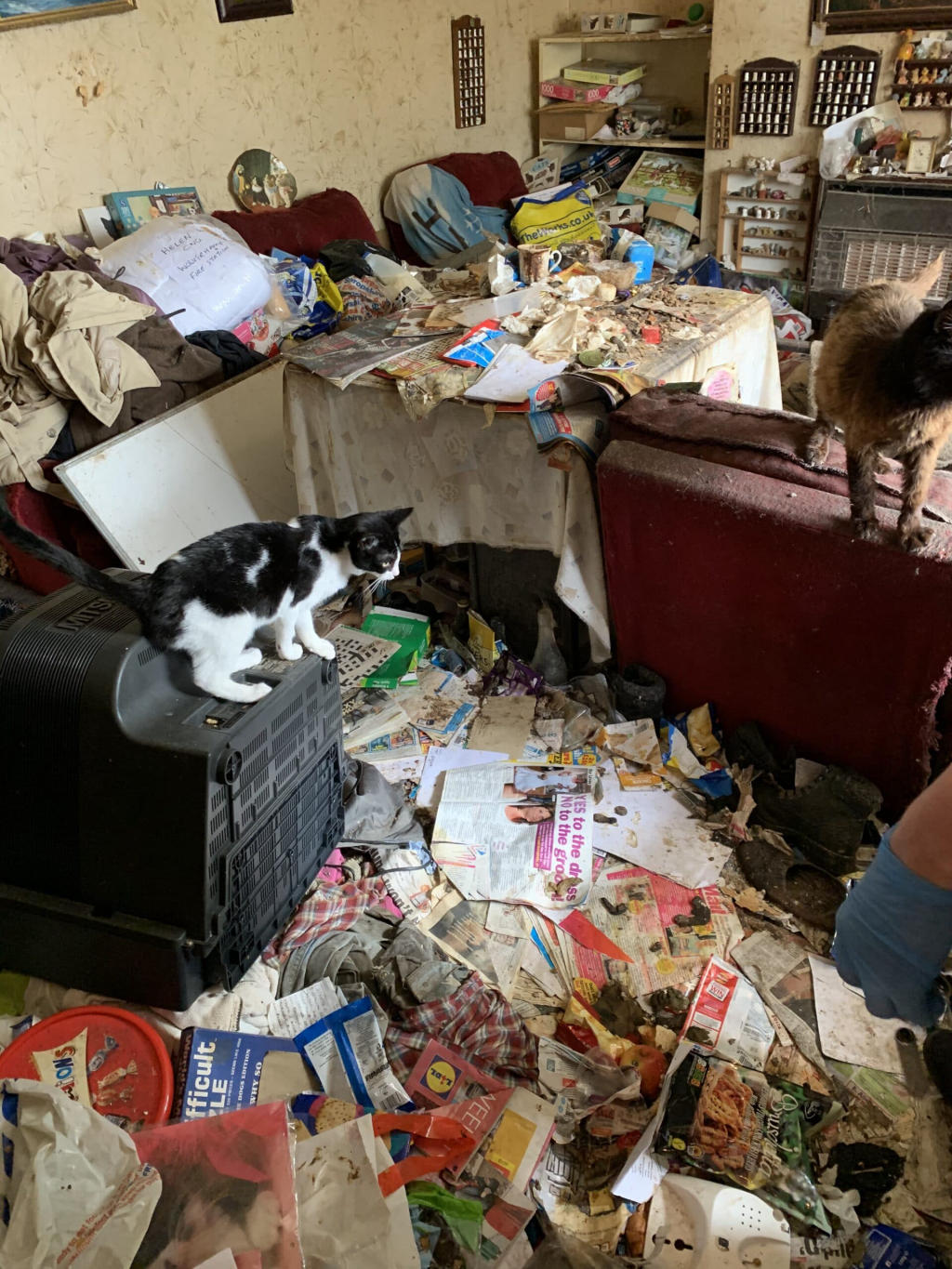 Los expertos en limpieza y su papel vital en la limpieza de una casa con síndrome de Diógenes