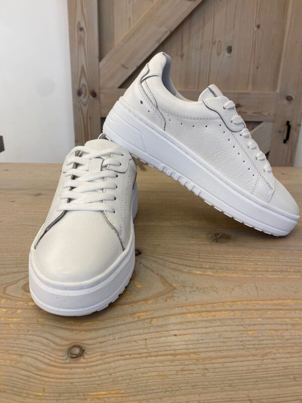 Poelman Sneaker LVSN Anemone White - Afbeelding 6