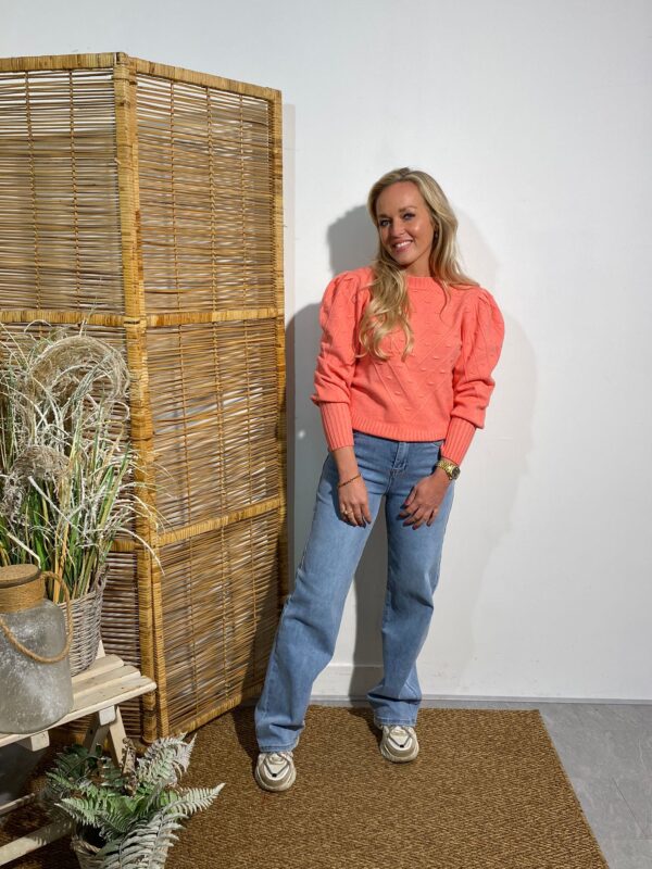 Viki Design Koraal Trui Dots met Pofmouw - Afbeelding 2