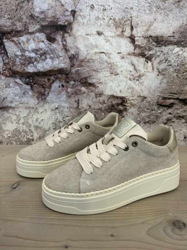 Post Xchange Leather Suede Sneaker Offwhite - Afbeelding 6