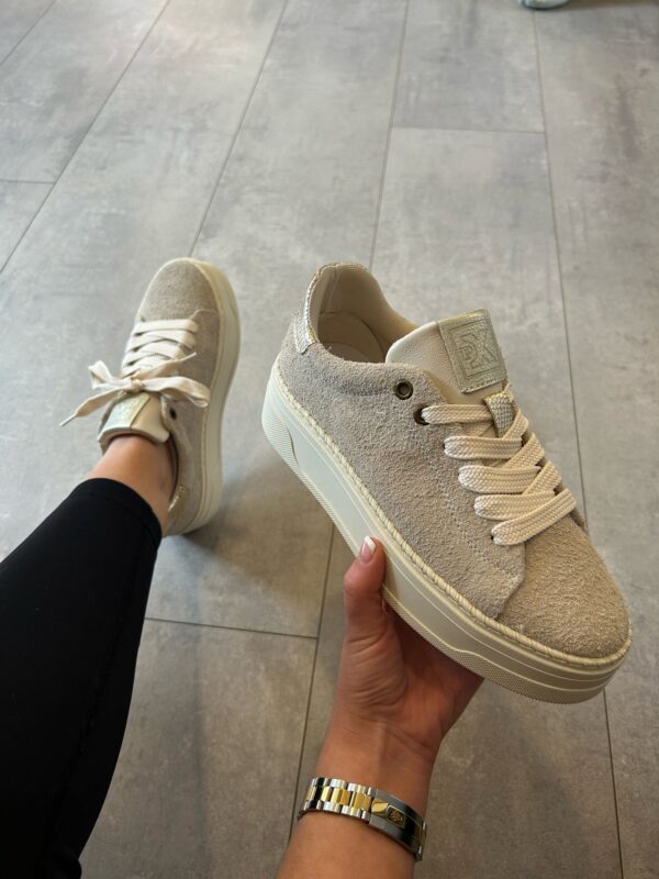 Post Xchange Leather Suede Sneaker Offwhite