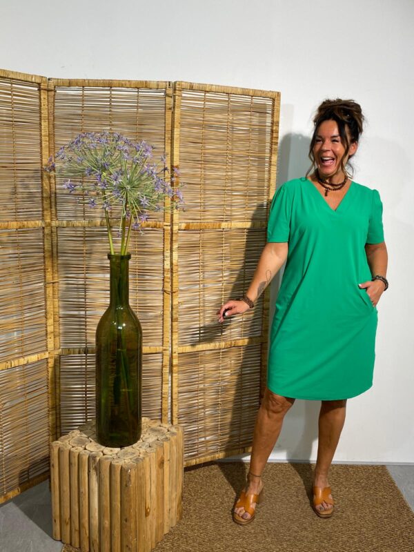 Zoso Green Travel Dress Judith