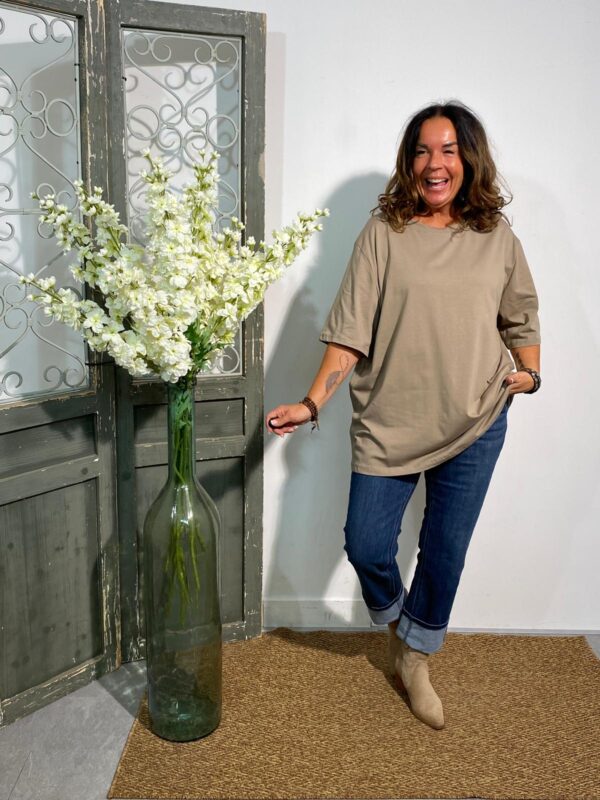 AD Taupe T-Shirt Basic