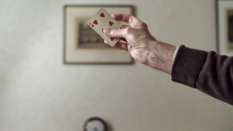 Cheek Mountain Thief