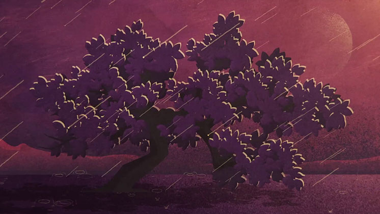 Conservation Society