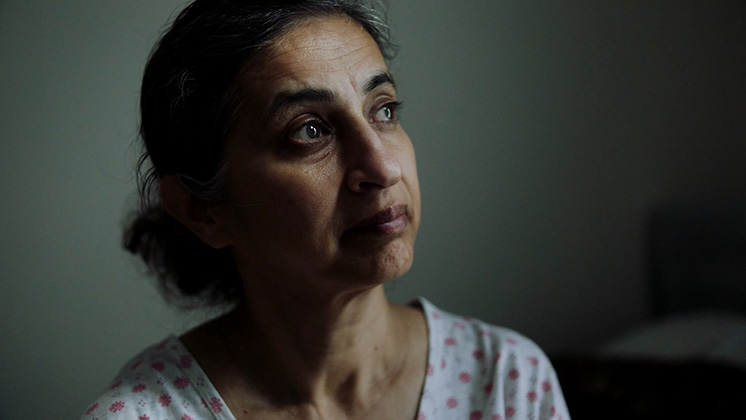 The Renewal Programme