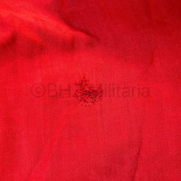 Cut Out NSDAP Flag Banner Hausfahne 36th Division Vosce