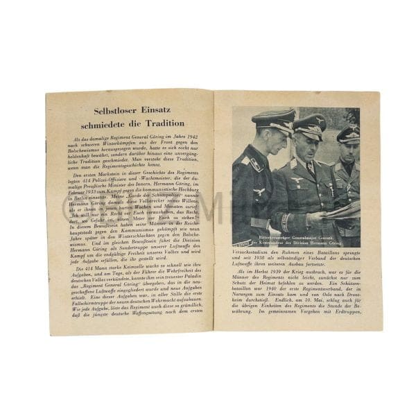 Division Hermann Göring
