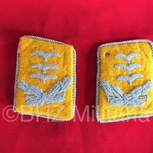 Luftwaffe Kraagspiegels Hauptmann