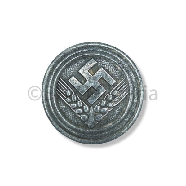 Broche RADwJ Maidenoberführerin met Foto