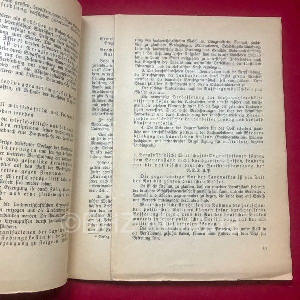 Das Programm der NSDAP und seine Weltanschaulichen Grundgedanken