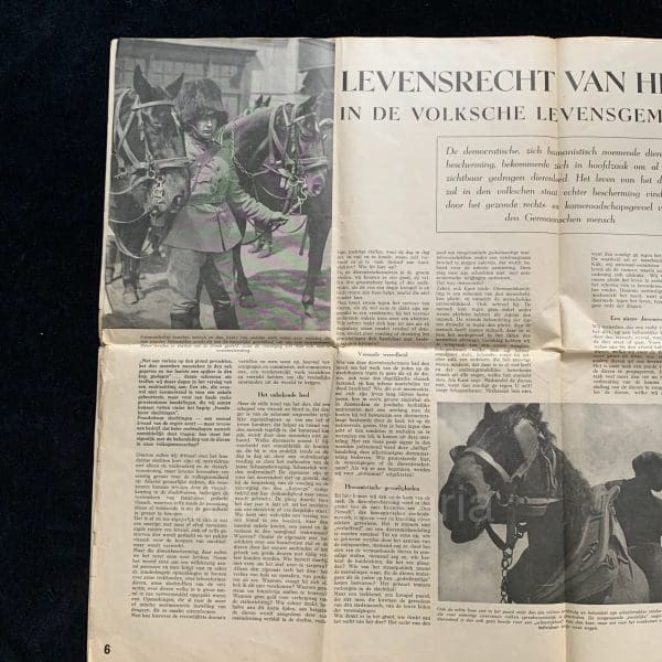 Storm (SS) – Blad der Nederlandsche SS – Eerste Jaargang Nummer 10 – 13 juni 1941