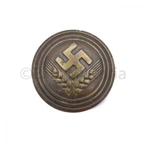 Reichsarbeitsdienst weiblichen Jugend RADjW Maidenunterführerin Brooch