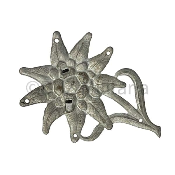 Edelweiss der Gebirgsjäger