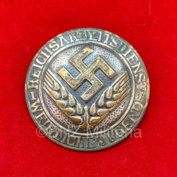 Reichsarbeitsdienst Weibliche Jugend Broche