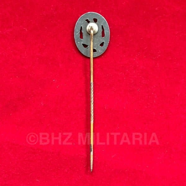 Miniatuur speld Allgemeines Sturmabzeichen (ASA)
