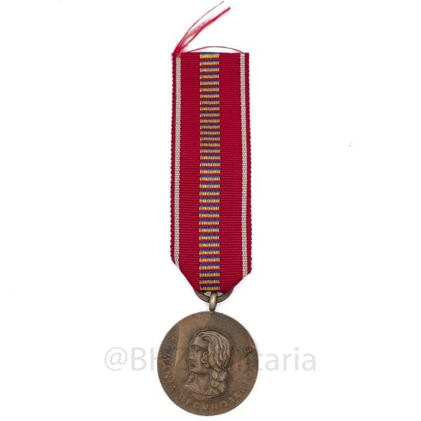 Medaille Kreuzzug gegen den Kommunismus - Medalia Cruciada împotriva comunismului