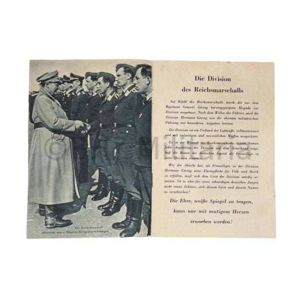 Division Hermann Göring