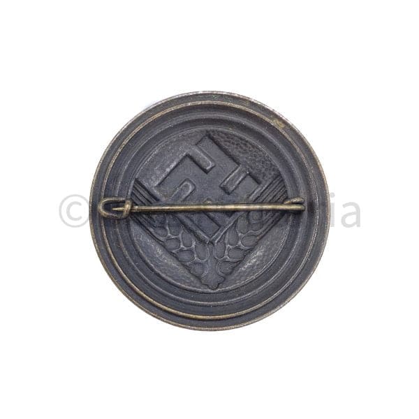 Reichsarbeitsdienst weiblichen Jugend RADjW Maidenunterführerin Brooch