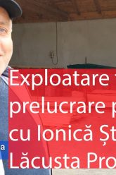 Exploatare forestiera Ionica Stefanoaia Lacusta Prodcom