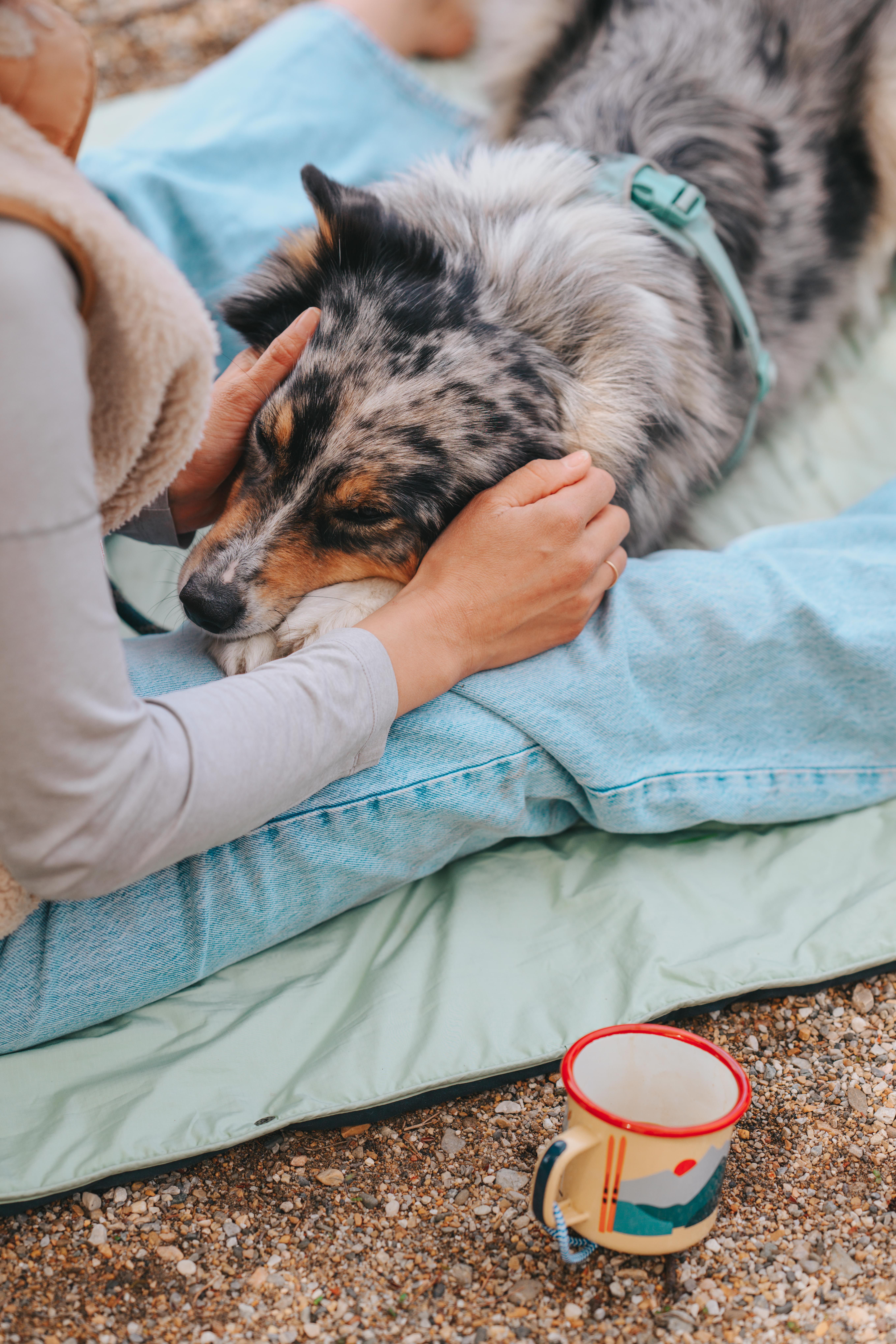 Kaffee_und_Hund_Fellival