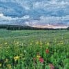 1MfOuUVx before the rain 300x300 1