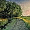 XKw9hnBI way home 300x300 1
