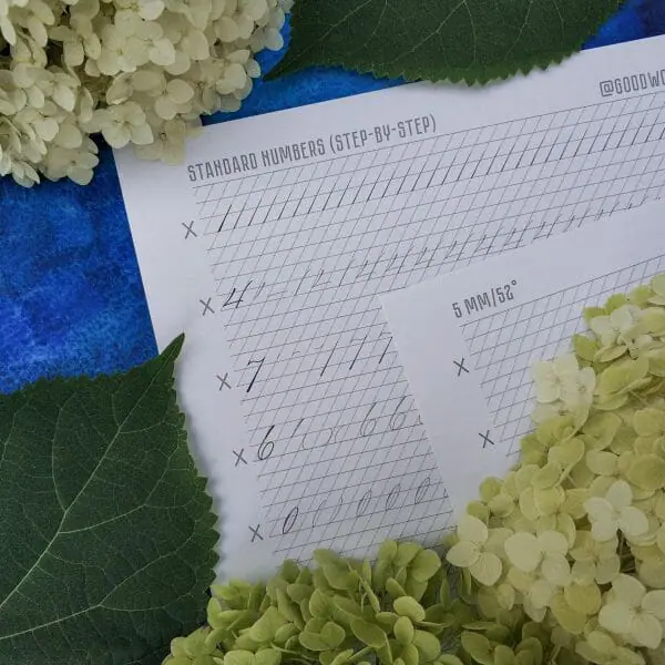 Spencerian Calligraphy Punctuation Marks