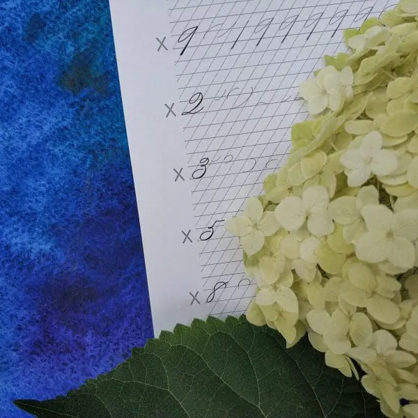Standard Spencerian Penmanship Figures