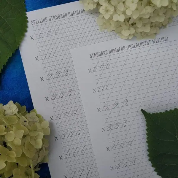 Spencerian Script Symbols