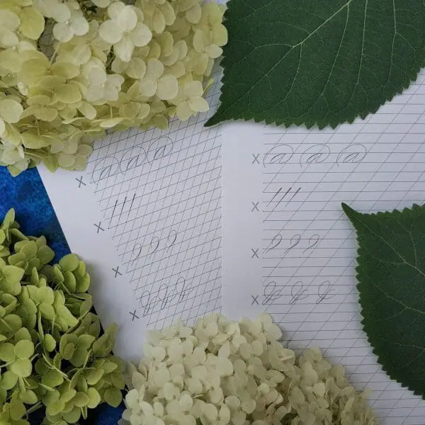 Spencerian Penmanship Punctuation Marks