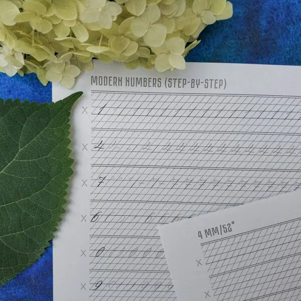 Spencerian Modern Numbers