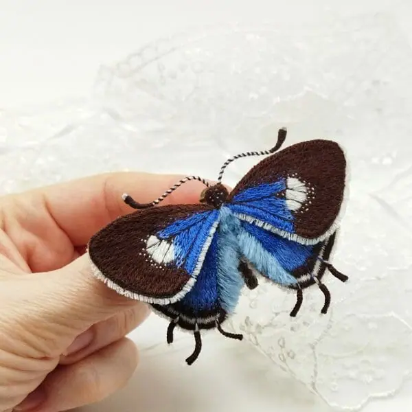 Embroidery moth