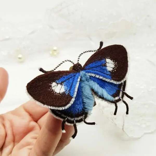 Blue moth
