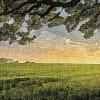 Kq7Xle1r brief moment 300x300 1