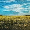 NLbFdGZC golden road 300x300 1