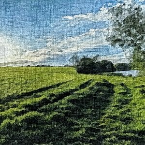 4BwU1FWx road to summer 300x300 1