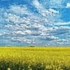DhwTZywu yellow sea 300x300 1