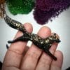 Black fox brooch