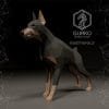 LScq1EHy 2 zloj doberman