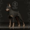 WJ2AgtgP doberman itog 5