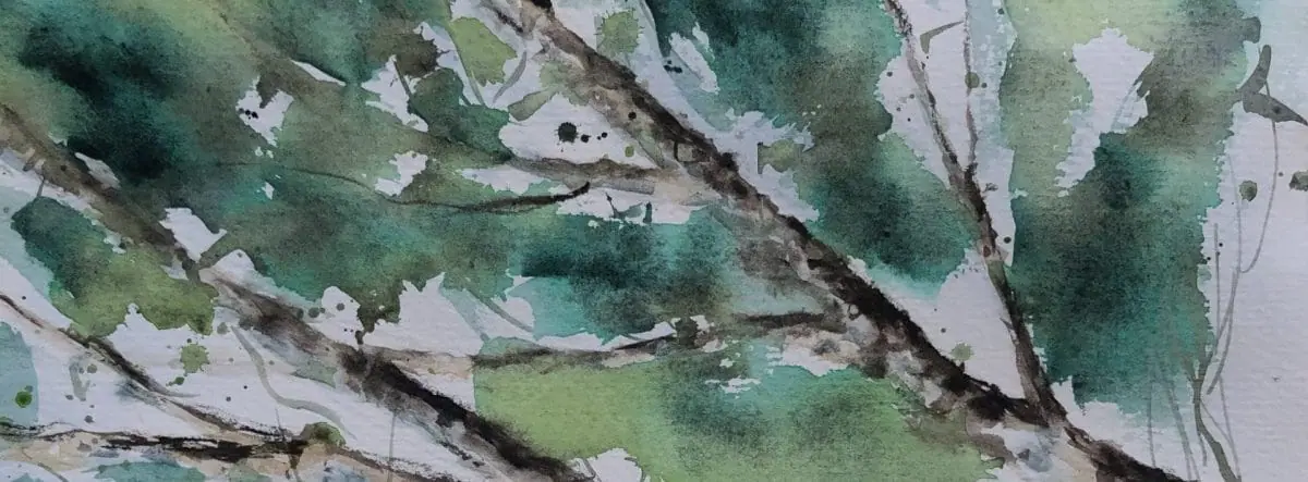 cropped img 8461 1.jpeg