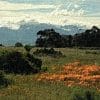 A1iYymqu the edge behind the mountain 300x300 1