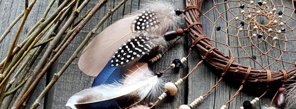 cropped banner1.jpg
