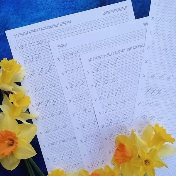 Alphabet American Business cursive Digital worksheets PDF